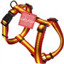 Consentida Harnais pour Chien de très Grande Taille T4 - Taille XL 42-70 x 2