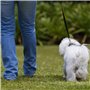 Consentida Harnais pour Chien de très Grande Taille T4 - Taille XL 42-70 x 2,5 cm - imprimé Espagne - Rouge et Jaune - Tissu rés