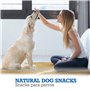 ARQUIVET Morro de Porc en Sachet de 20 unités - Snacks 100% naturels pour Chiens - Récompenses, friandises, friandises Canines -