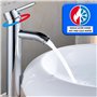 Robinet Lavabo Haut Salle de Bain en Acier Inoxydable - Mitigeur à Levier Unique pour Eau Chaude et Froide - 2 Tuyaux Inclus - P