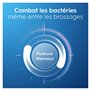 Oral-B Dentifrice Pro-Expert Dents Sensibles Sensation Apaisante Eucalyptus Menthe Poivrée