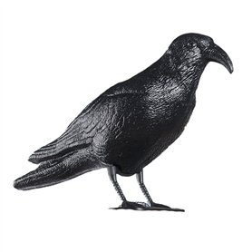 Répulsif EDM 06074 polypropylène 36 x 13 x 18 cm Oiseaux Corbeau