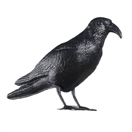Répulsif EDM 06074 polypropylène 36 x 13 x 18 cm Oiseaux Corbeau
