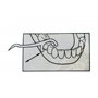 Pochette de 75 portes fils dentaires et cure dents jetables 2 en 1