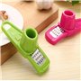 2 Pcs Presse Ail, Presse-ail en Acier Inoxydable, Hachoir et Trancheuse Ail, Ail Crusher, Presse Ail Rosle pour Restaurant Maiso