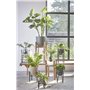 Mica Decorations Ascot Plant Stand Wood Light Brown - 38 x 38 x 60 cm