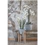 Mica Decorations Ascot Plant Stand Wood Light Brown - 38 x 38 x 60 cm
