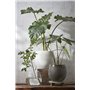 Mica Decorations Douro Pot de fleurs terre cuit rond blanc cassé 23 x Ø 26 cm - Pot de plante