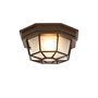 Qazqa bri - Plafonnier - 1 lumière - Ø 21.3 cm - Brun rouille - Rustique - éclairage extérieur