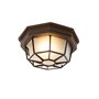 Qazqa bri - Plafonnier - 1 lumière - Ø 21.3 cm - Brun rouille - Rustique - éclairage extérieur