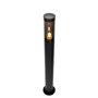 QAZQA rox - Lampe sur pied extérieur - 1 lumière - Ø 11.9 cm - Noir - Moderne, Design - éclairage extérieur