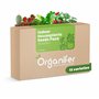 Paquet De Graines De Plantes D’Intérieur - Graines De Plantes D’Intérieur - Graines De Plantes - Plantes À Graines - Mélange De 