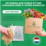Hosta White Feather, 3 plantes vivaces d'hosta, plantes vivaces à racines nues résistantes à l'hiver, en provenance de Hollande 