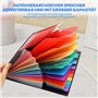 Elalove 2 Pièces Pochette A4 avec 12 Compartiments Classeur Plastique Transparent Trieur Porte Documents Bureau Étanche pour Éco
