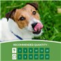 INABA Friandises liquides pour Chien Churu crème au Poulet - 8 Tubes de 20g
