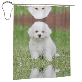 AUGUSTRUSH Rideau de douche imperméable avec œillets métalliques (chien bichon frisé) avec 12 crochets