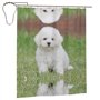 AUGUSTRUSH Rideau de douche imperméable avec œillets métalliques (chien bichon frisé) avec 12 crochets