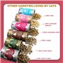 Pawfect Nature's Feast FD Friandises pour Chats Poitrine de Poulet