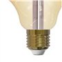 Eglo Connect 12573 Ampoule Led E27 à Intensité Variable Blanc Chaud 2200 K G125 Ø 12,5 cm