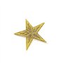 10 pièces brodés vêtements Star Applique couture ecussons brodés Coudre/fer sur le patch Appliqué Diy Craft Accessoire pour Robe