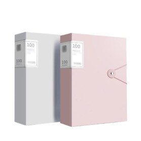 Dossier de fichiers Lot de 2 chemises A4 avec inserts transparents