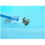 Aspirateur à Batterie Lithium Poolwonder v2 Nettoyeur de Piscine | Fabriqué en Autriche