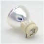 Lampe de projecteur de remplacement P-VIP 240 0,8 E20.9N Lampe nue de rechange W1070 W1070 + W1080 W1080ST HT1085ST HT1085ST HT1