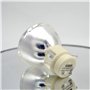Lampe de projecteur de remplacement P-VIP 240 0,8 E20.9N Lampe nue de rechange W1070 W1070 + W1080 W1080ST HT1085ST HT1085ST HT1