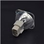 Lampe de projecteur de remplacement 7R P-VIP 180-230W Lampe MSD Platinum 7R Stage Studio Lampes Studio Compatible Ajustement de 