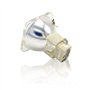 Lampe de projecteur de remplacement 7R P-VIP 180-230W Lampe MSD Platinum 7R Stage Studio Lampes Studio Compatible Ajustement de 