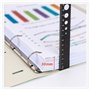 Dossiers de Fichiers Lot de 3 chemises perforées A4 en polypropylène à quatre trous, classeur à feuilles mobiles, organiseur de 