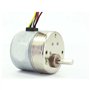 Micro réducteur Moteur pas à pas à engrenages de décélération 12 V CC 0