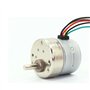 Micro réducteur Moteur pas à pas à engrenages de décélération 12 V CC 0,15 Nm 0,4 A 2 phases 4 phases 35 mm Rapport de démultipl