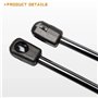 2 Pièces Vérin Hayon de Coffre Arrière pour Lexus RX450H RX 450H RX450 RX 450 2007-2023 2024, Ressorts à Gaz Hayon Verins de Cof