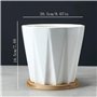 Pots de Plantes Simples en