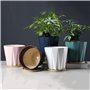 lskdnrufh Pot de Fleurs Jardinières de Plantes Vertes à Motifs de Plantes succulentes, Couleur Unie, Pots de Plantes Simples en 