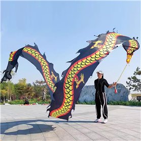Ruban de danse du dragon chinois