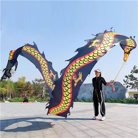 Ruban de danse du dragon chinois