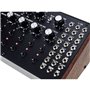 Synthétiseur Moog MOD-DFAM-02