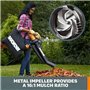 Worx Souffleur/broyeur/aspirateur électrique TriVac WG505