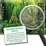 MICROBE-LIFT Bio Co2 – Engrais CO2 Liquide, Engrais carbonique pour des Plantes d'aquarium Superbes, 473 ML