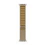 Montre intelligente Apple Titane 49 mm