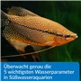 API DE-34 Freshwater Master Test KIT 800-Test Water Master Kit de Test pour Aquarium d'eau Douce Taille Unique