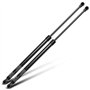 Frankberg 2x Ressorts à Gaz pour Hayon Compatibles avec 500 312 Tous Moteurs Hatchback 2007-2019 Remplacer# 51785412