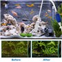 WEGREAT Kit de nettoyage d'aquarium 5 en 1 : kit de nettoyage d'aquarium avec siphon de changement d'eau et 5 outils de nettoyag