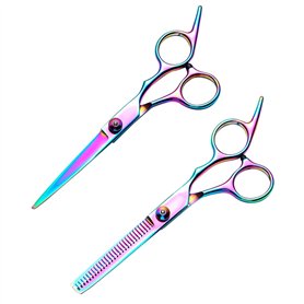 Ciseaux De Coiffure 2 Pièces