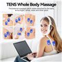 Electric V-Face Shaping Massager + Électrostimulation Device (2026 Version, 2 Thérapies en 1) EMS Facelift Device Photothérapie 