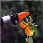 Sécateur Longue Portée | Cueilleur De Fruits Télescopique À Longue Portée | Couper Et Maintenir Le Sécateur D'arbre | Coupe-bran