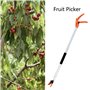 Sécateur Longue Portée | Cueilleur De Fruits Télescopique À Longue Portée | Couper Et Maintenir Le Sécateur D'arbre | Coupe-bran