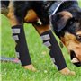 2Pcs Chien Arrière Jambes Bretelles Canine Arrière Jarret Manches Joint Wraps avec des Sangles Réfléchissantes De Sécurité pour 